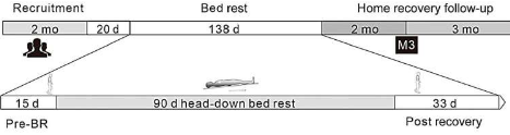 中国航天员中心90天头低位卧床概述对策及效果