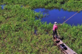 自然资源的可持续利用潘塔纳尔湿地社区的经验教训