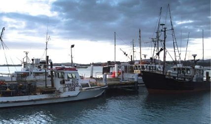 过度捕捞和气候变化对新西兰鱼类种群的影响迄今为止一直是隐藏的