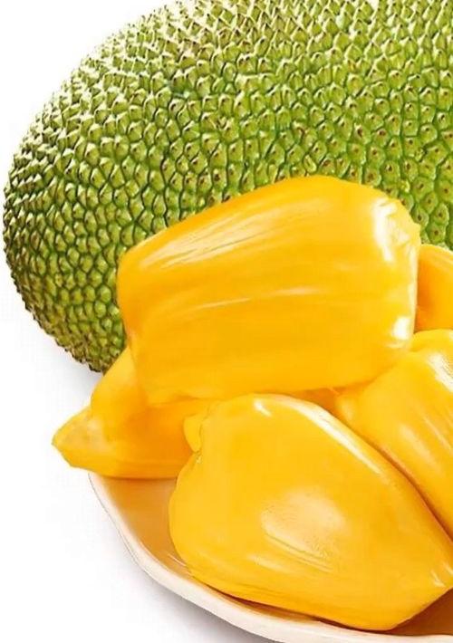 菠萝蜜里面的籽有什么营养价值？ 菠萝蜜的营养价值及功效与作用