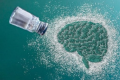 新发现的大脑回路控制对咸味的厌恶
