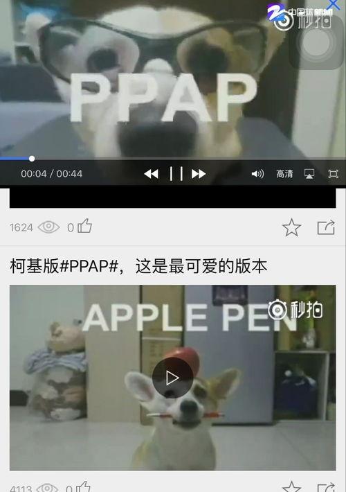 ppap是什么意思 ppap是什么意思的缩写