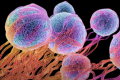 新技术提供癌细胞的CRISPR视图来检测和消灭
