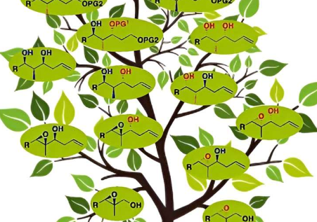 化学家用一种起始材料生产出所有八种可能的聚丙酸酯结构单元变体