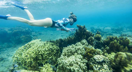 研究人员称奥运塔建设可能会损害塔希提岛珊瑚礁生态系统