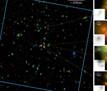 JWST观测为遥远星系团的性质提供了更多线索