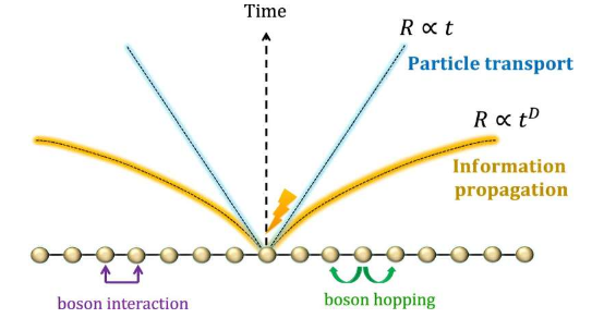 科学家研究相互作用的玻色子系统中的信息传播