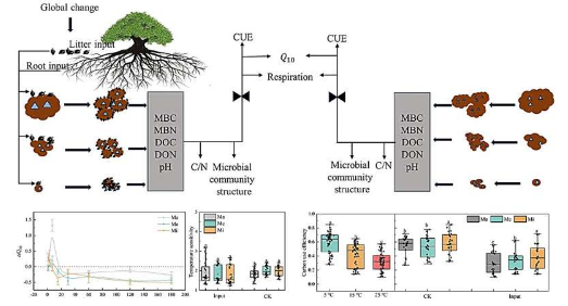 有机质输入和温度变化对土壤团聚体相关呼吸和微生物碳利用的影响