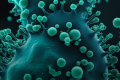 抗生素确定的新型癌症免疫疗法的靶点