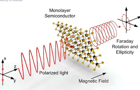 研究表明超薄二维材料可以旋转可见光的偏振